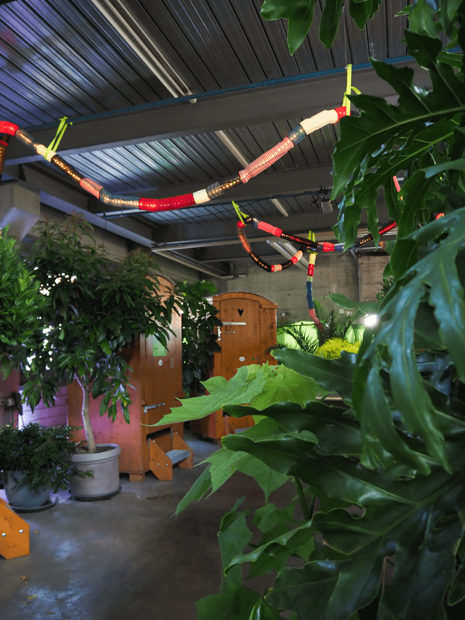 HIHA Archiv Fotos 2025