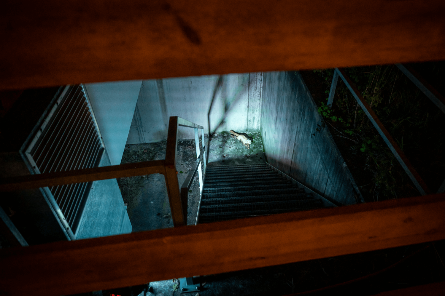 HIHA Archiv Fotos 2025