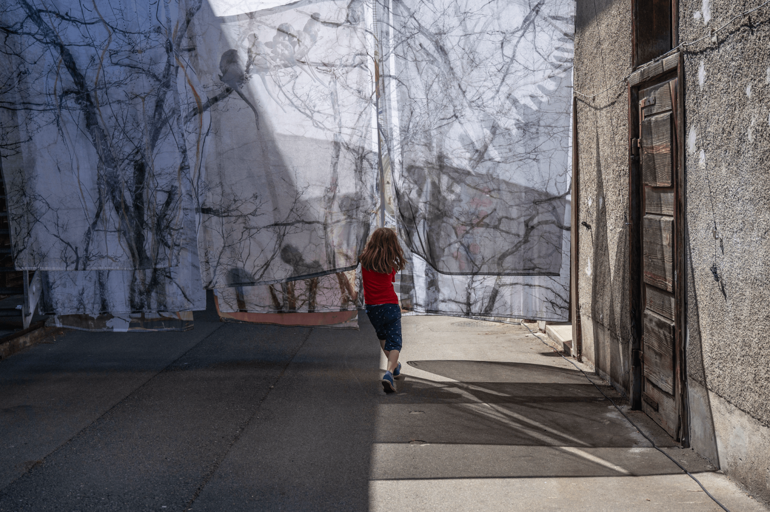 HIHA Archiv Fotos 2025