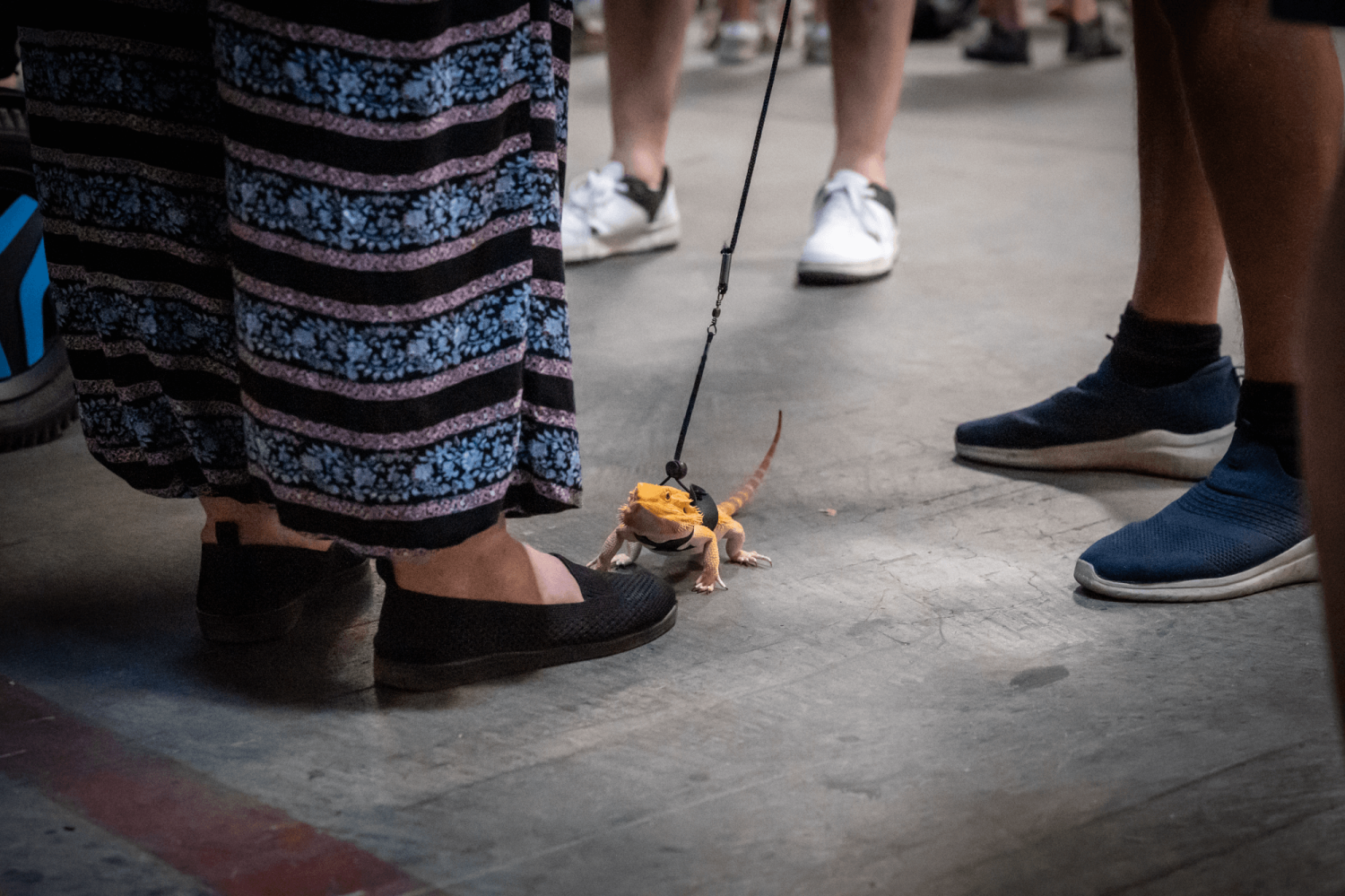 HIHA Archiv Fotos 2025