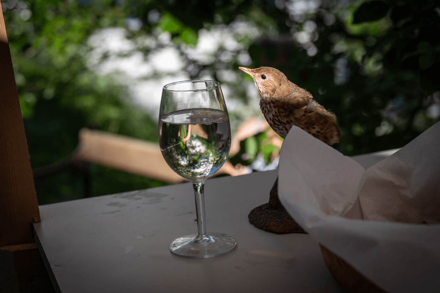 HIHA Archiv Fotos 2025