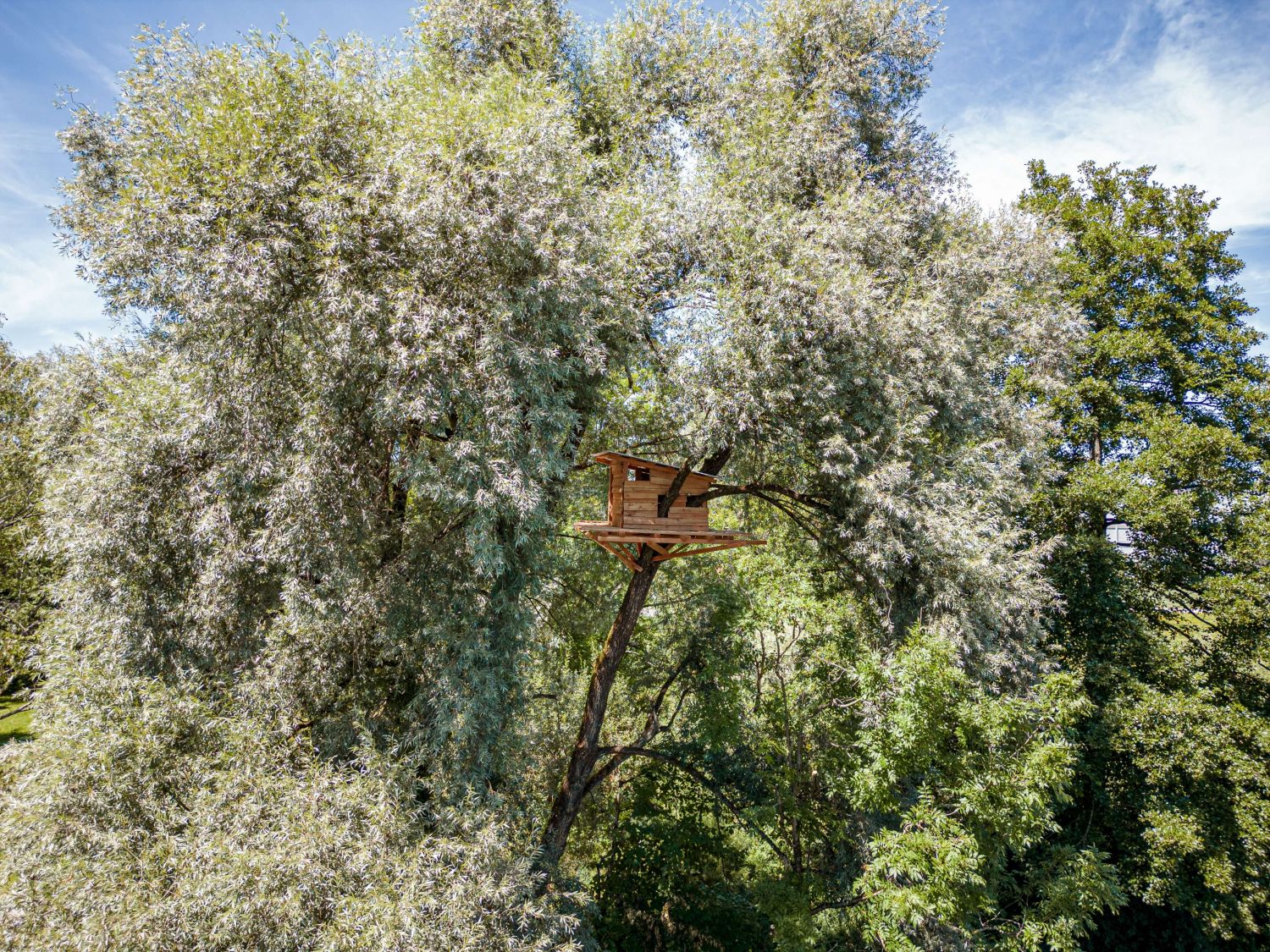 HIHA25 Programm Bechtler